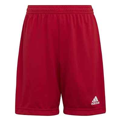 adidas ENT22 SHO Y Shorts, Team Power Red 2, 15-16A Unisex Kids