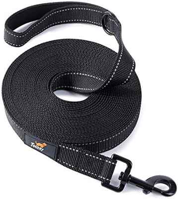 Correa de adiestramiento para maacotas