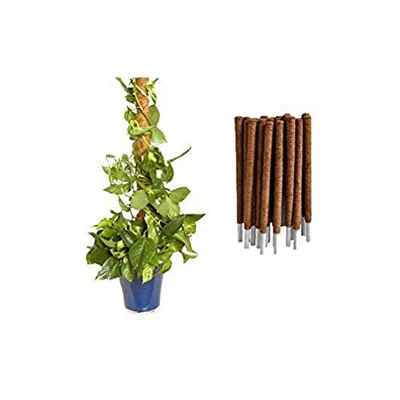 JARDINLIFE Tutor 80cm Fibra de Coco Natural para Plantas Trepadoras y Enredaderas, Guía para Las Raíces (150cm)