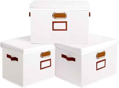 Juego de 3 Cajas de almacenamiento Outbros