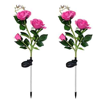 Luces solares Exterior Jardín, XVZ lámparas Decorativas LED Rosas Solares, impermeable lámpara solar con flor más grande y panel solar más ancho, para jardín césped terraza camino (Rosa)