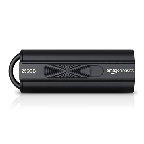 Memoria USB 3.1 de 256 GB