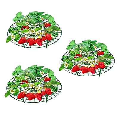Soporte de Planta Fresa 3PZ Soporte de Fresa Herramienta de Soporte de Planta Plástico Marco Plantación Fresa Balcón Planta Plantación Escalada Flore Vid Jardinería Soporte para Evitar Pudrición Suelo