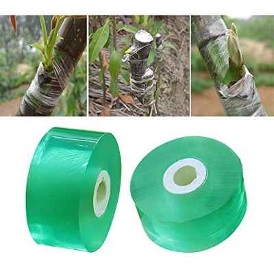 Yisscen Cinta de Injerto, 2 Rollos Cinta de Injerto Transparente, Cinta Extensible Biodegradable Autoadhesivo, Cinta de Injerto de Injerto de Jardín para Reparación de Plantas de Barrera de Humedad